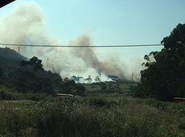 Extinguido de madrugada el incendio con 4 focos que cercaba a Alcoa