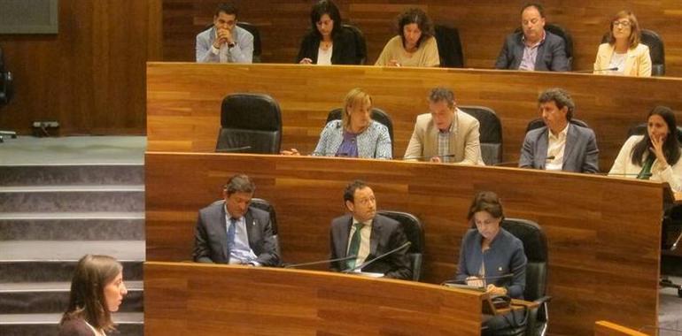 Podemos anuncia cambios y carga contra la corrupción en el pleno de investidura en Asturias