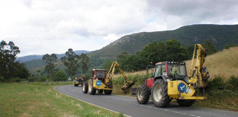 Fomento inicia la campaña anual de desbroce de carreteras