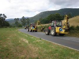 Fomento inicia la campaña anual de desbroce de carreteras