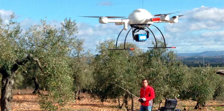 Un nuevo método con drones desarrollado por el CSIC cartografía árboles con un 97% de exactitud