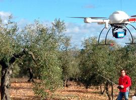 Un nuevo método con drones desarrollado por el CSIC cartografía árboles con un 97% de exactitud