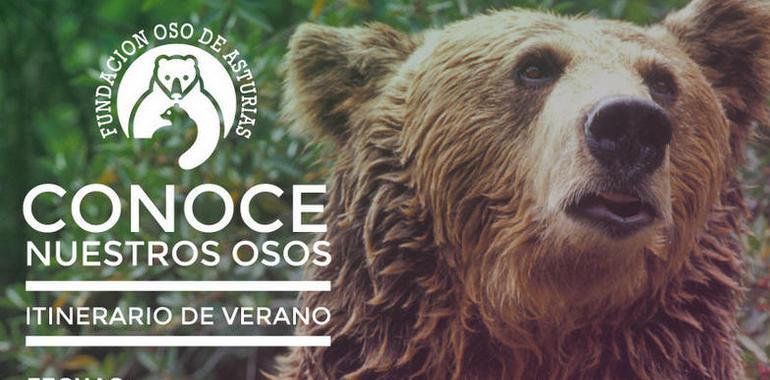 Actividades de Educación Ambiental Fundación Oso de Asturias