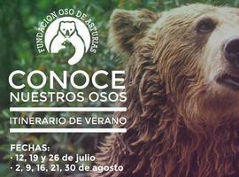 Actividades de Educación Ambiental Fundación Oso de Asturias