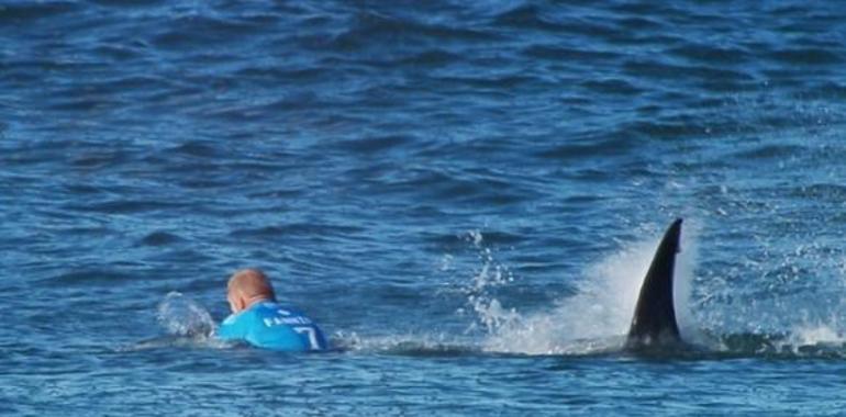 Mick Fanning, triple campeón mundial de surf sobrevive al ataque de un tiburón  