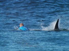 Mick Fanning, triple campeón mundial de surf sobrevive al ataque de un tiburón  