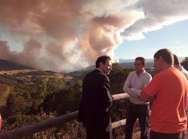 Allande, Cangas del Narcea y Tineo sufren todavía 14 incendios forestales