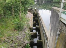 La Coordinadora Ecoloxista denuncia falta de mantenimiento en uno de los embalses del Nalón