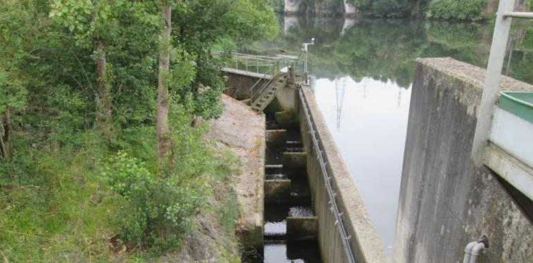 Sancionado el Ayuntamiento de Morcín por vertidos de aguas residuales al río