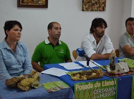 XXXII Certamen de la Huerta y XIV Feria del Campo de Posada de Llanes