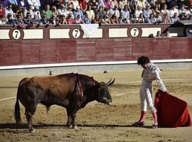 Anadel tacha de "irresponsables" a quienes llevan niños a los toros