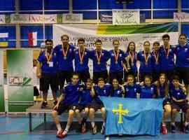 Torneo cuadrangular de Bádminton en las Instalaciones deportivas del Cristo en Oviedo