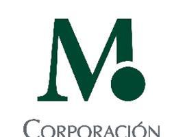 La Corporación Masaveu, Medalla de Oro de Asturias