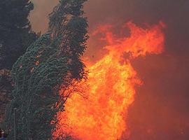 #Tragsa. El seguimiento de la huelga de brigadistas forestales llega al 78%