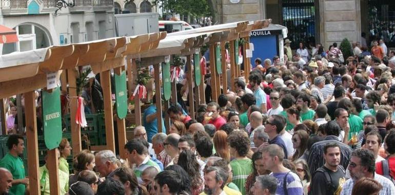 Fiesta de la sidra en Gijón, con más llagares (25), más solidaria (Adansi) y más récord