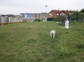 Corvera de Asturias dedica 3.600 m2 a parques para perros