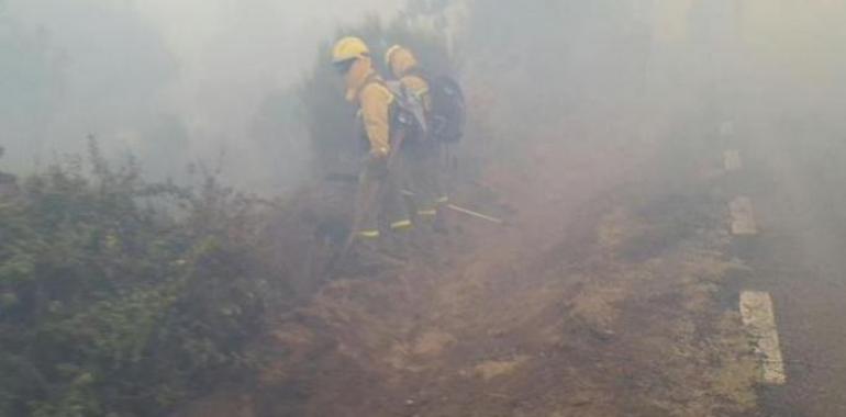 El incendio forestal de Villagatón (León) amenaza las poblaciones cercanas