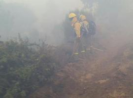 El incendio forestal de Villagatón (León) amenaza las poblaciones cercanas