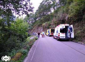 Un conductor herido tras caerse por un terraplén en Piloña