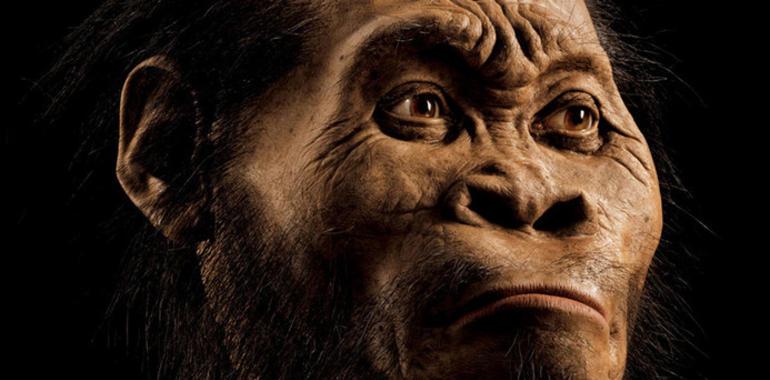 El Homo naledi, una nueva especie de homínido descubierto en yacimiento de Sudáfrica