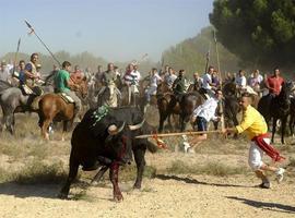 Veterinarios espliquen al alcalde de Tordesillas quel Toro de la Vega sí sufre