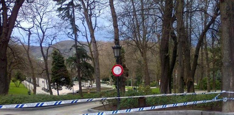 La galerna obliga a cerrar el Parque de San Francisco en Oviedo