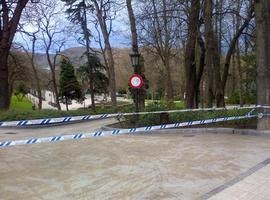 La galerna obliga a cerrar el Parque de San Francisco en Oviedo