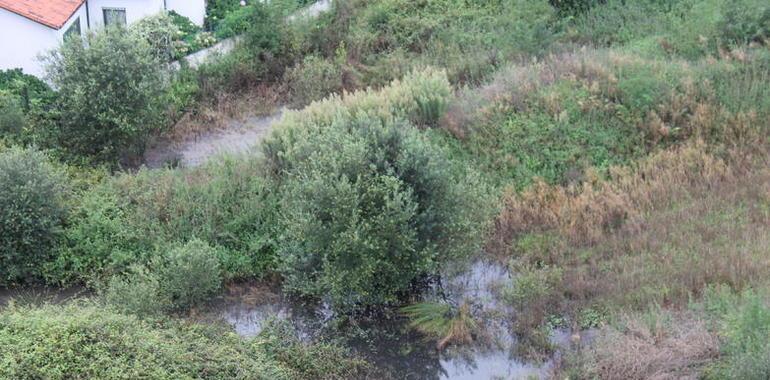 Ecologistas de Avilés reiteran su denuncia sobre la laguna de aguas fecales en Santa Apolonia