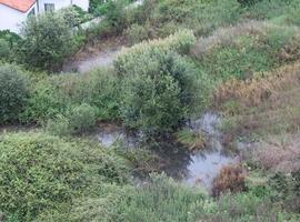 Ecologistas de Avilés reiteran su denuncia sobre la laguna de aguas fecales en Santa Apolonia