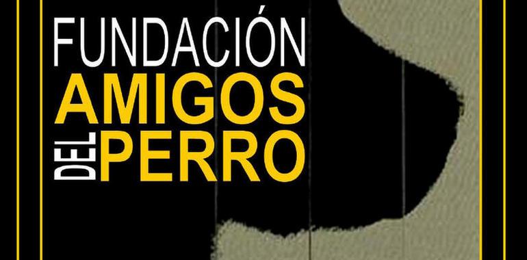 La Fundación asturiana Amigos del Perro entregará sus premios el 16 de octubre