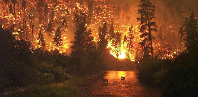 El cambio climático supondrá grandes incendios en Estados Unidos y Europa