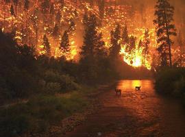 El cambio climático supondrá grandes incendios en Estados Unidos y Europa