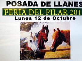 El caballo, protagonista en la Feria del Pilar de Posada de Llanes