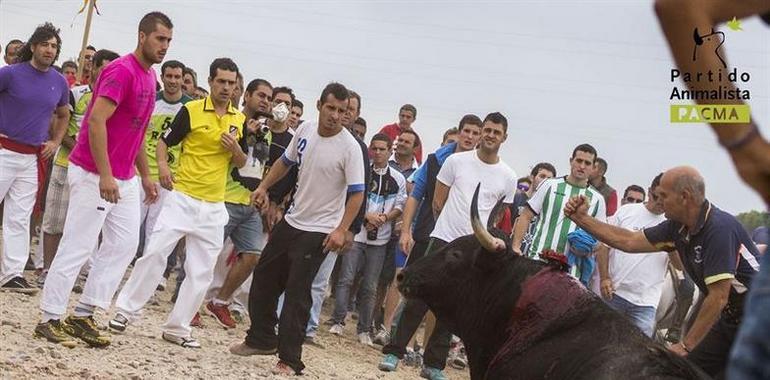 Declaren nula lautorización del Toro de La Vega del 2014