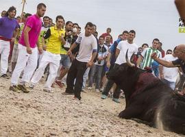 Declaren nula lautorización del Toro de La Vega del 2014