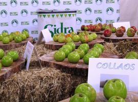 Desfile de manzanas en el Festival de  Villaviciosa 