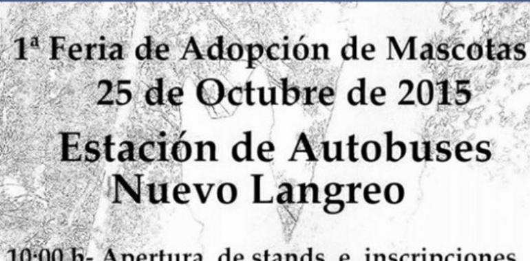 La asociación Patrulla Animal organiza la primera Feria de Adopción de Mascotas en Langreo