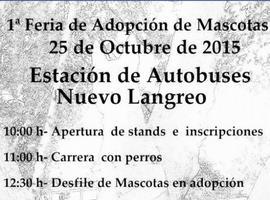 La asociación Patrulla Animal organiza la primera Feria de Adopción de Mascotas en Langreo