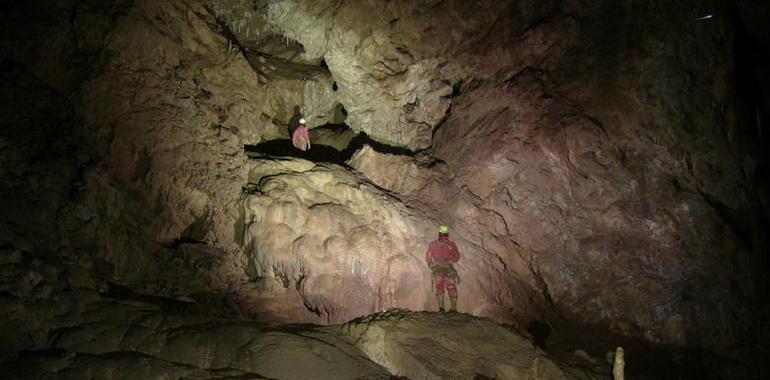 Investigadores de UniOvi revelan que la cueva Torca La Texa tiene más de 350.000 años 