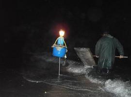 Ecologistas alertan de la extinción de la anguila en Asturias por la pesca de angulas