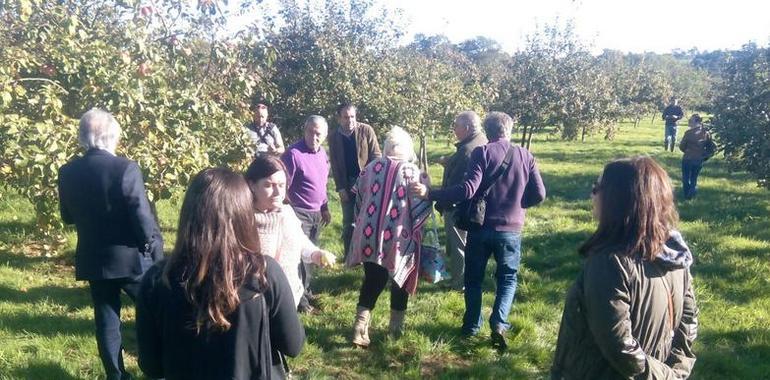 La Sidra DOP despierta cada vez más interés agroturístico dentro y fuera de España 