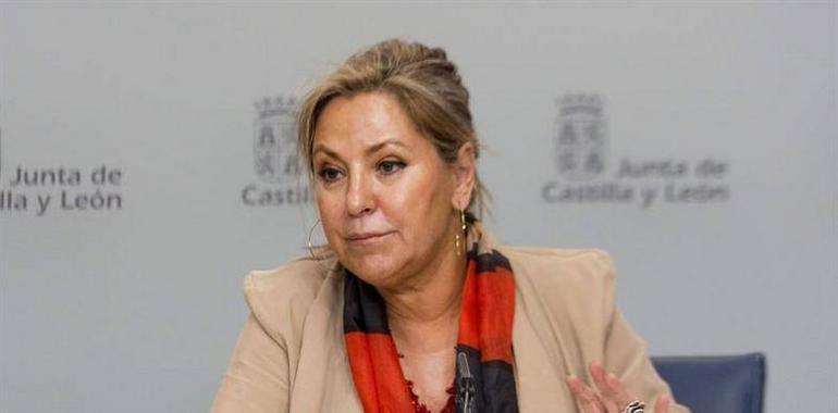 Castilla y León confirma que defenderá el carbón autoctono en la reunión del grupo de trabajo estatal