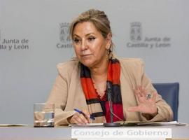 Castilla y León confirma que defenderá el carbón autoctono en la reunión del grupo de trabajo estatal