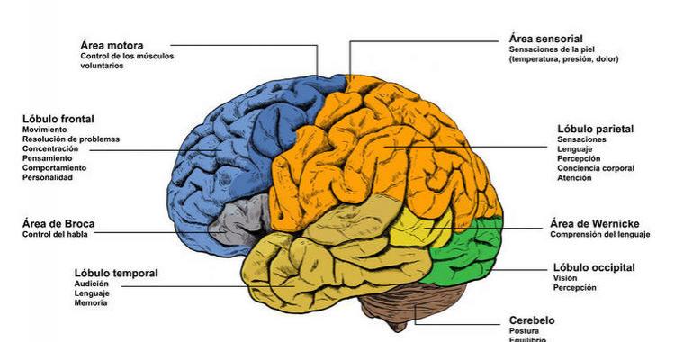 Estimulación cerebral profunda contra la depresión