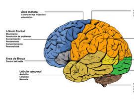 Estimulación cerebral profunda contra la depresión