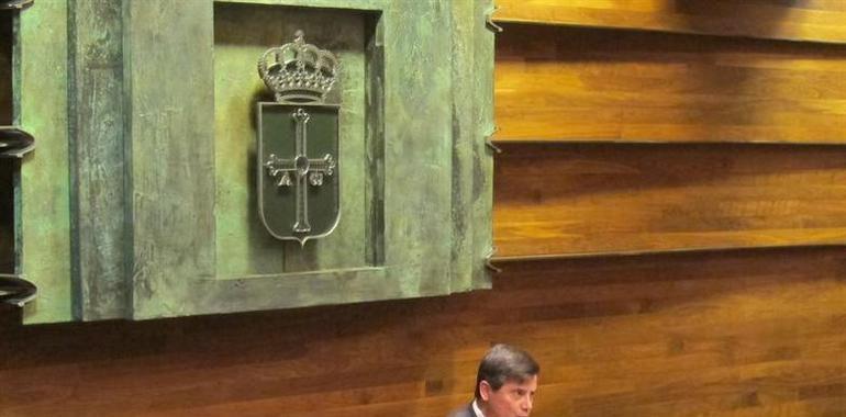 El Parlamento asturiano se pronuncia contra la violencia machista