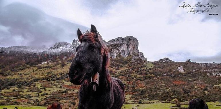 La invernada entra mañana en Asturias