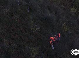 Cazador herido por un jabalí en Santo Adriano, ingresado en el HUCA