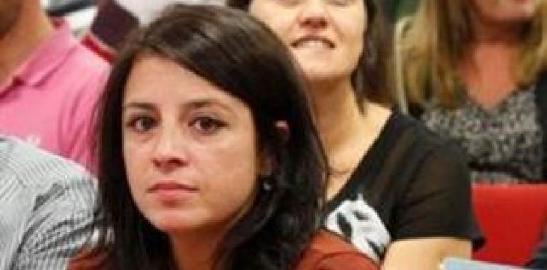 PSOE y SOMA-Fitag-UGT reclaman un Pacto de Estado por la Energía