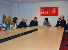 Lastra (PSOE) compromete su ayuda a las demandas de los autónomos